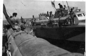 MTB 294, 17th Flotilla